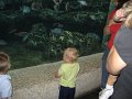 Juli2007 434